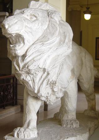 Lion par Pierre Theunis